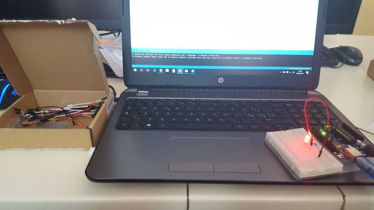 430517112 13201974008426520802